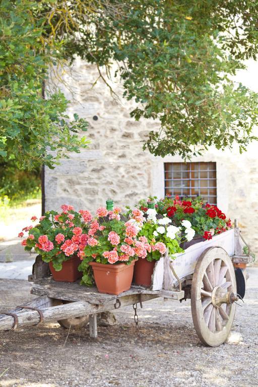 Agriturismo Tenuta Armaiolo Rapolano Terme Bagian luar foto